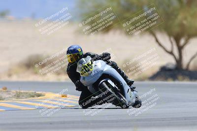 media/May-12-2024-SoCal Trackdays (Sun) [[ad755dc1f9]]/10-Turn 4 Tree of Life (1120am)/